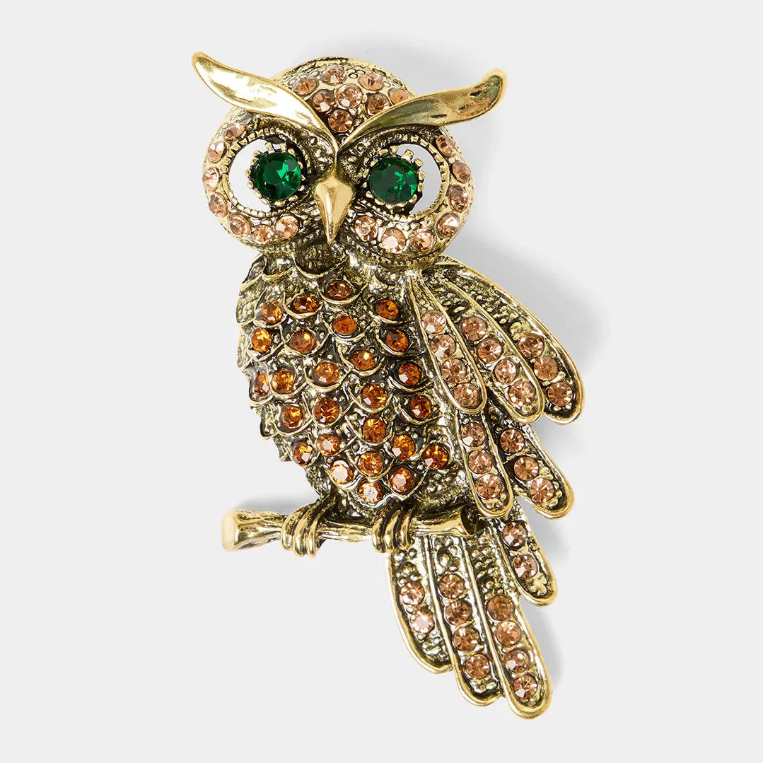 Joe Browns Opulent Owl Brooch BK625